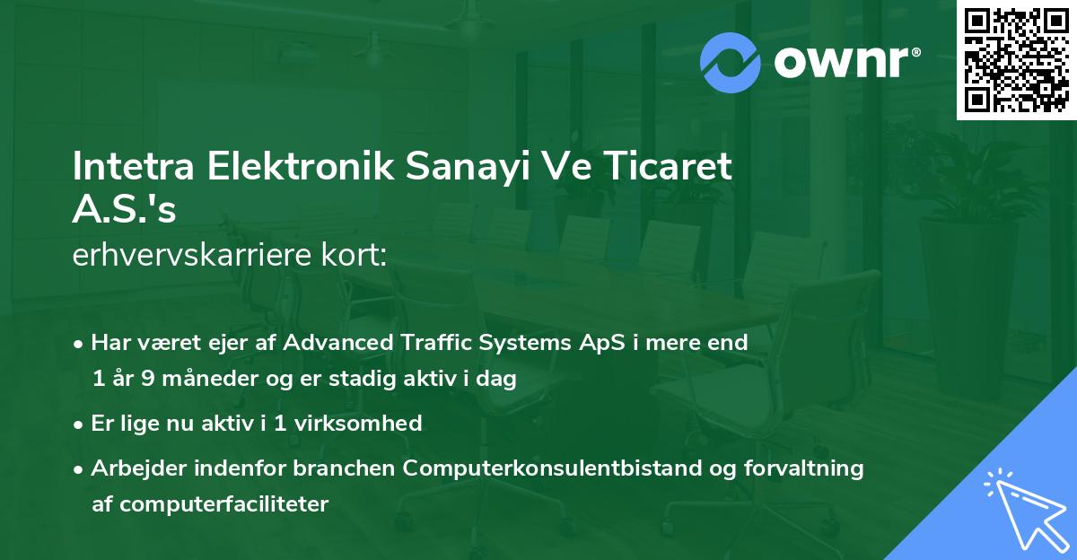 Intetra Elektronik Sanayi Ve Ticaret A.S.'s erhvervskarriere kort