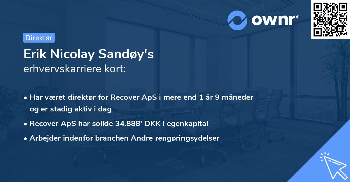 Erik Nicolay Sandøy's erhvervskarriere kort