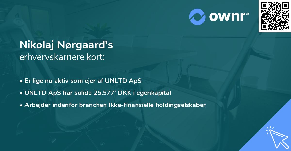 Nikolaj Nørgaard's erhvervskarriere kort