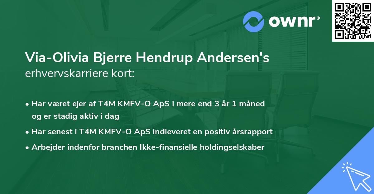 Via-Olivia Bjerre Hendrup Andersen's erhvervskarriere kort