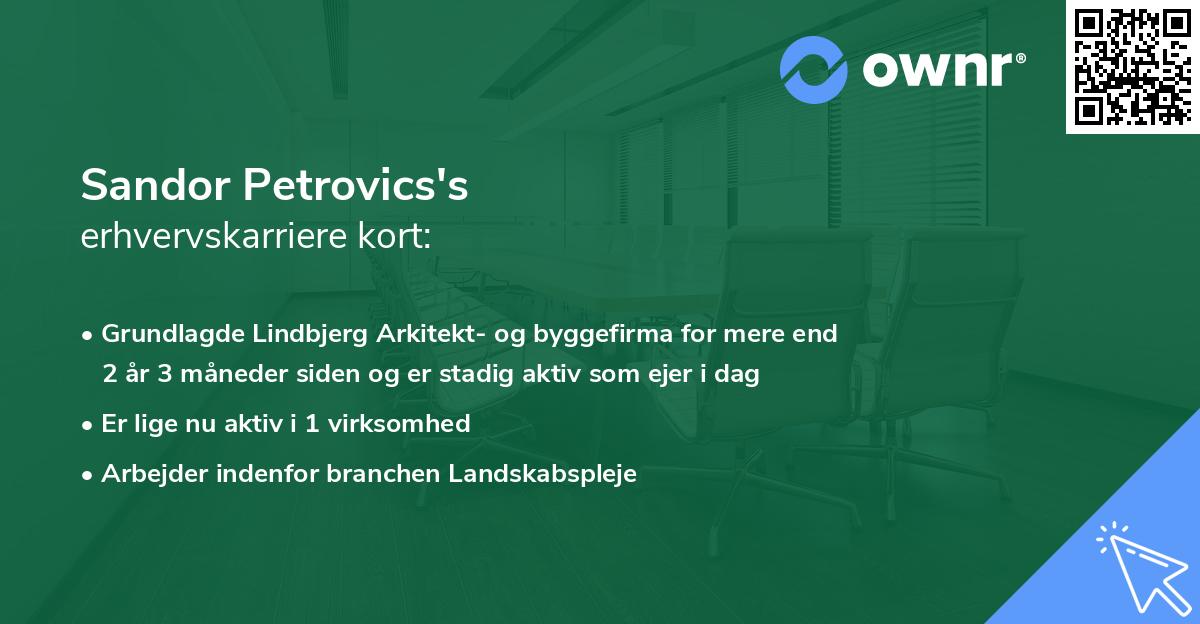 Sandor Petrovics's erhvervskarriere kort