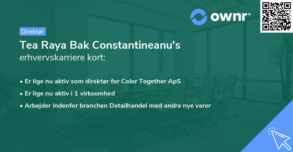 Tea Raya Bak Constantineanu's erhvervskarriere kort