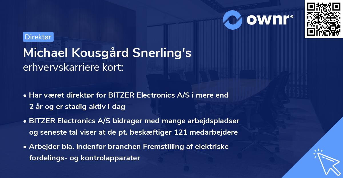 Michael Kousgård Snerling's erhvervskarriere kort