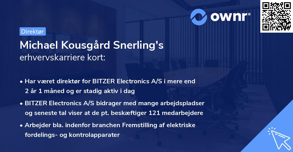Michael Kousgård Snerling's erhvervskarriere kort
