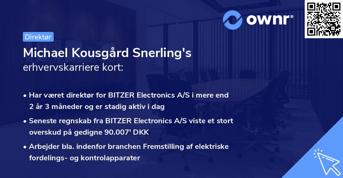 Michael Kousgård Snerling's erhvervskarriere kort
