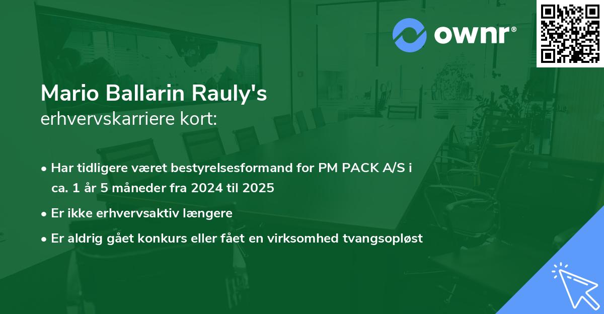 Mario Ballarin Rauly's erhvervskarriere kort