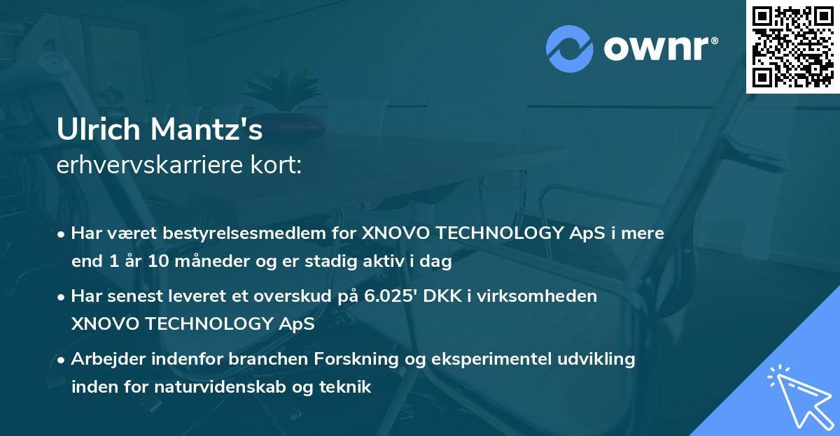 Ulrich Mantz's erhvervskarriere kort