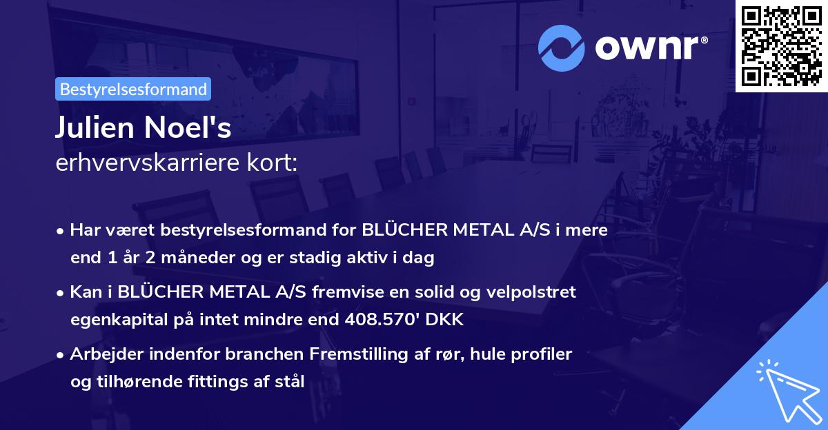 Julien Noel's erhvervskarriere kort