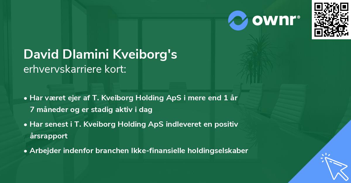 David Dlamini Kveiborg's erhvervskarriere kort