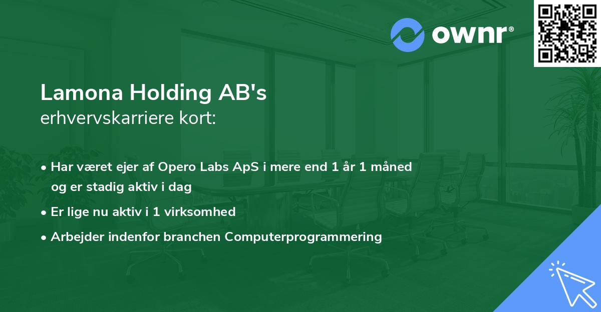 Lamona Holding AB's erhvervskarriere kort
