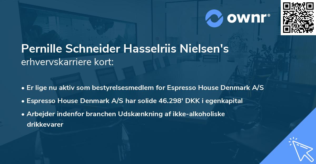 Pernille Schneider Hasselriis Nielsen's erhvervskarriere kort