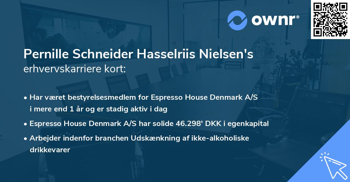 Pernille Schneider Hasselriis Nielsen's erhvervskarriere kort