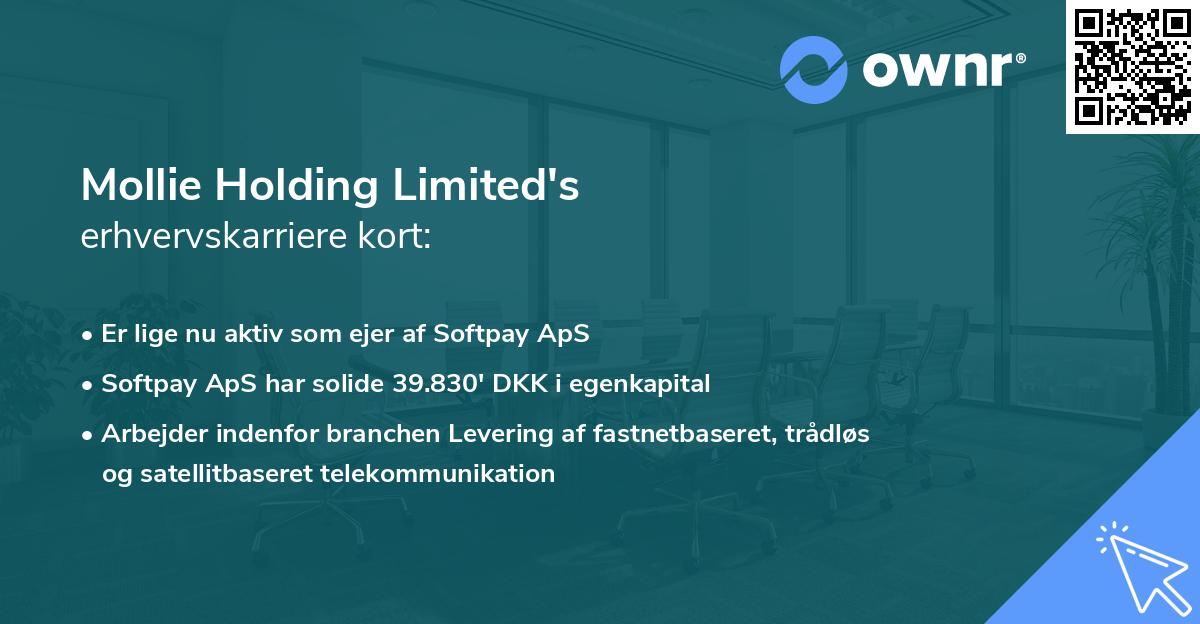 Mollie Holding Limited's erhvervskarriere kort