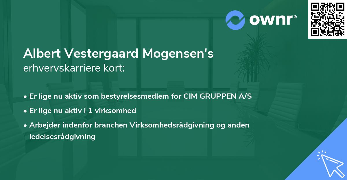 Albert Vestergaard Mogensen's erhvervskarriere kort