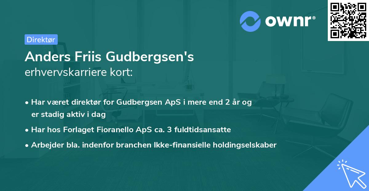 Anders Friis Gudbergsen's erhvervskarriere kort