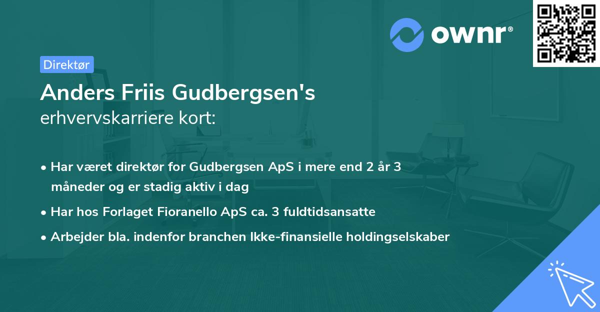 Anders Friis Gudbergsen's erhvervskarriere kort