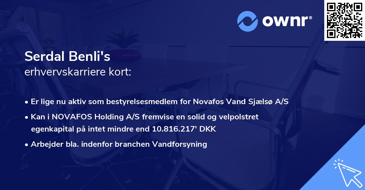 Serdal Benli's erhvervskarriere kort