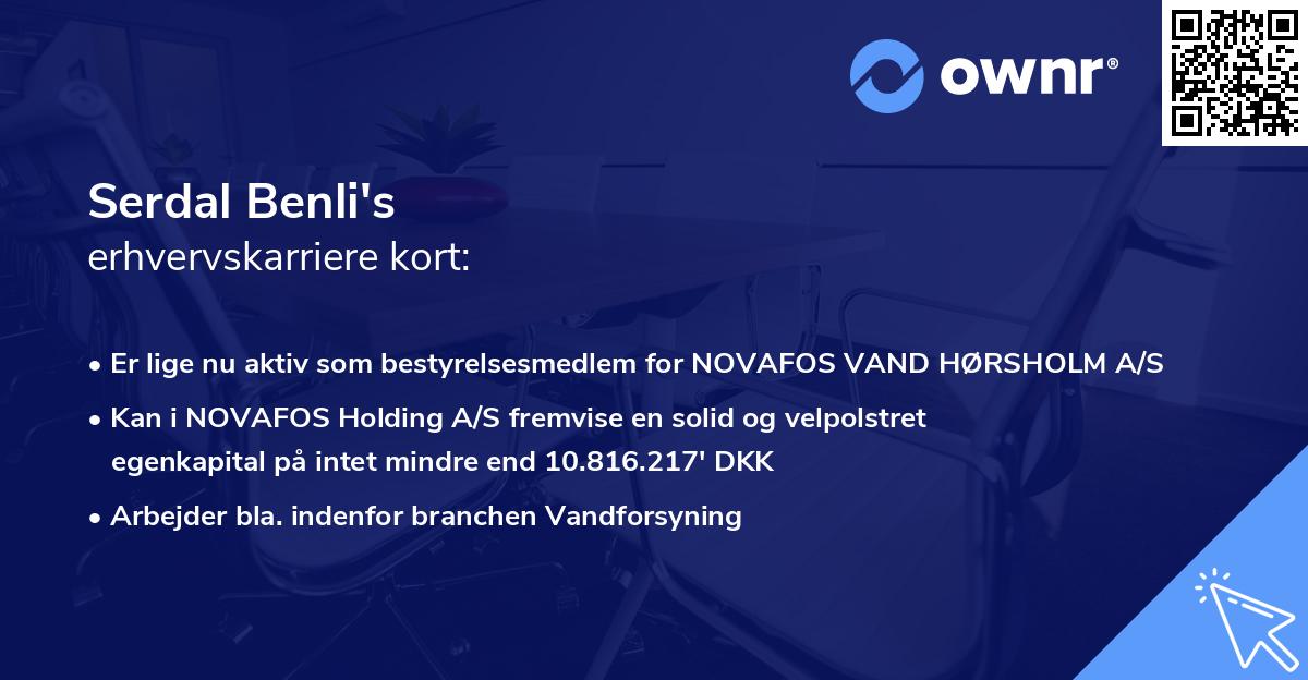 Serdal Benli's erhvervskarriere kort