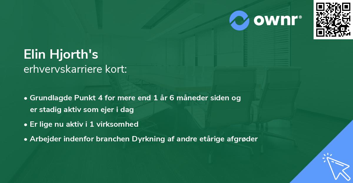 Elin Hjorth's erhvervskarriere kort