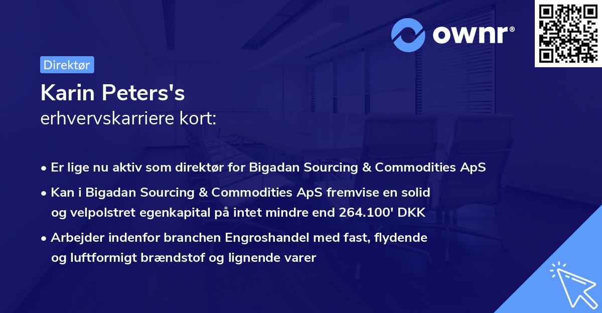 Karin Peters's erhvervskarriere kort