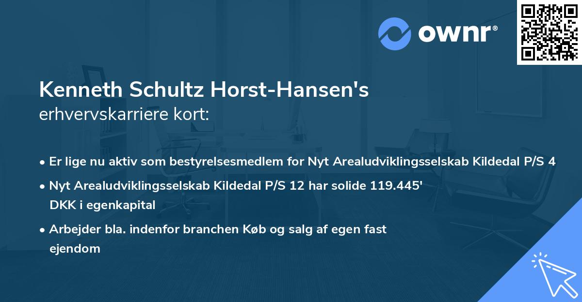 Kenneth Schultz Horst-Hansen's erhvervskarriere kort