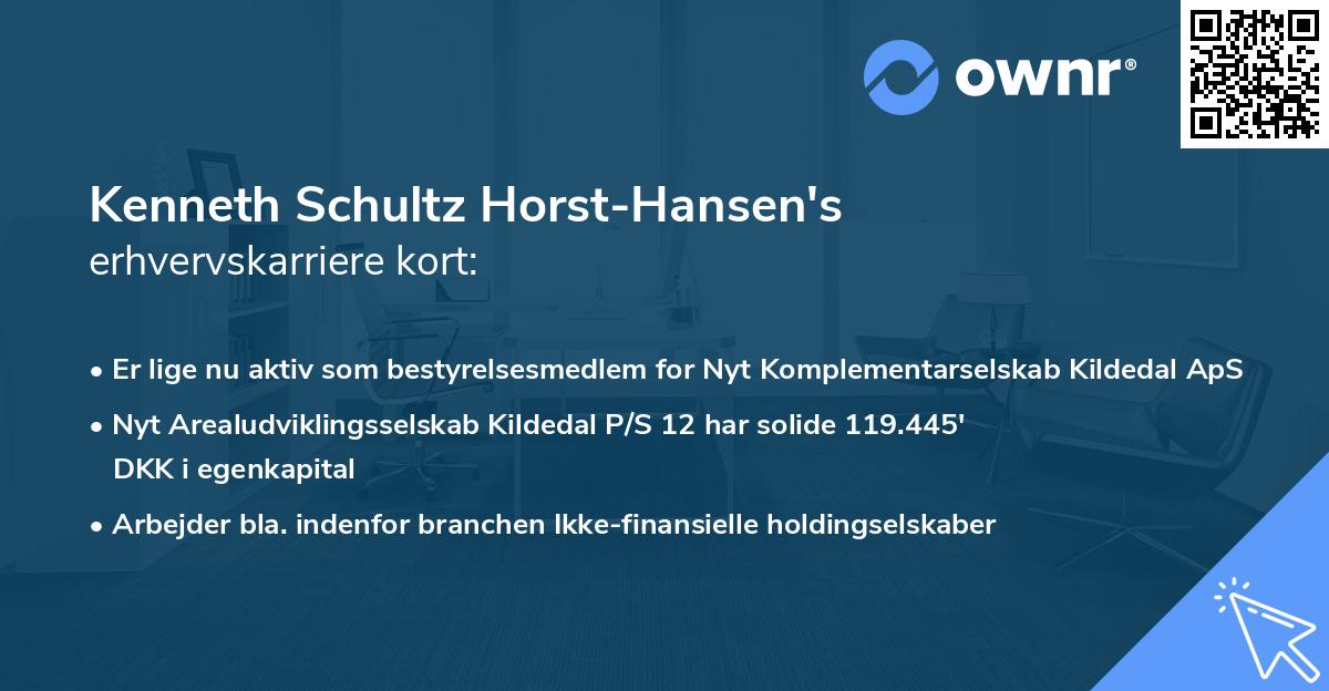 Kenneth Schultz Horst-Hansen's erhvervskarriere kort