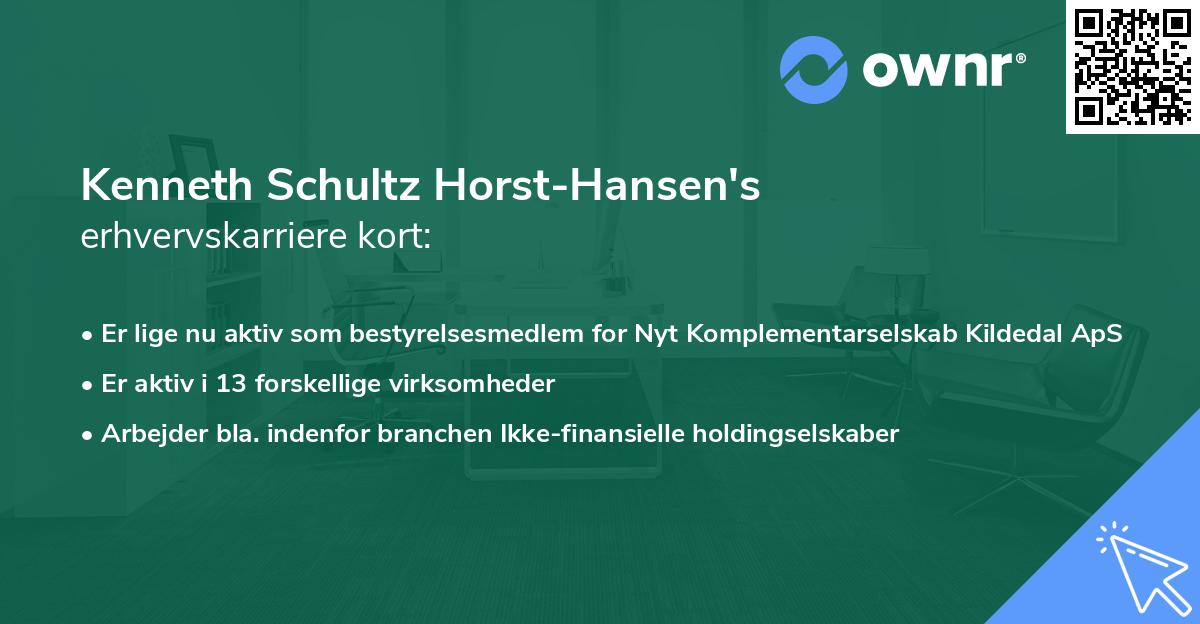Kenneth Schultz Horst-Hansen's erhvervskarriere kort