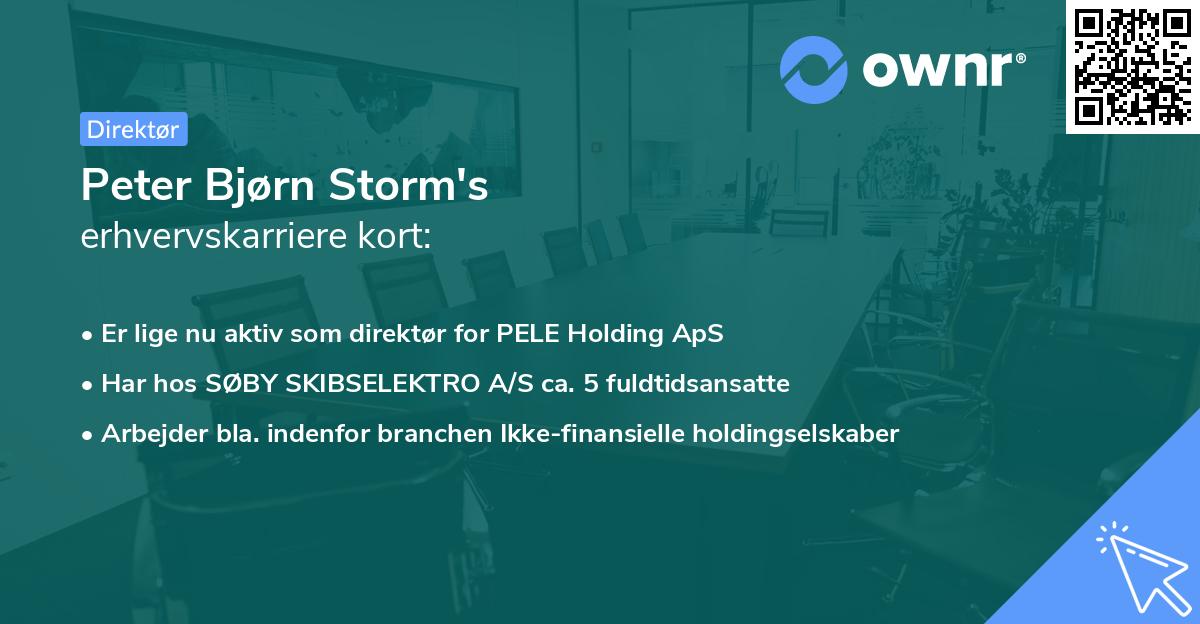 Peter Bjørn Storm's erhvervskarriere kort