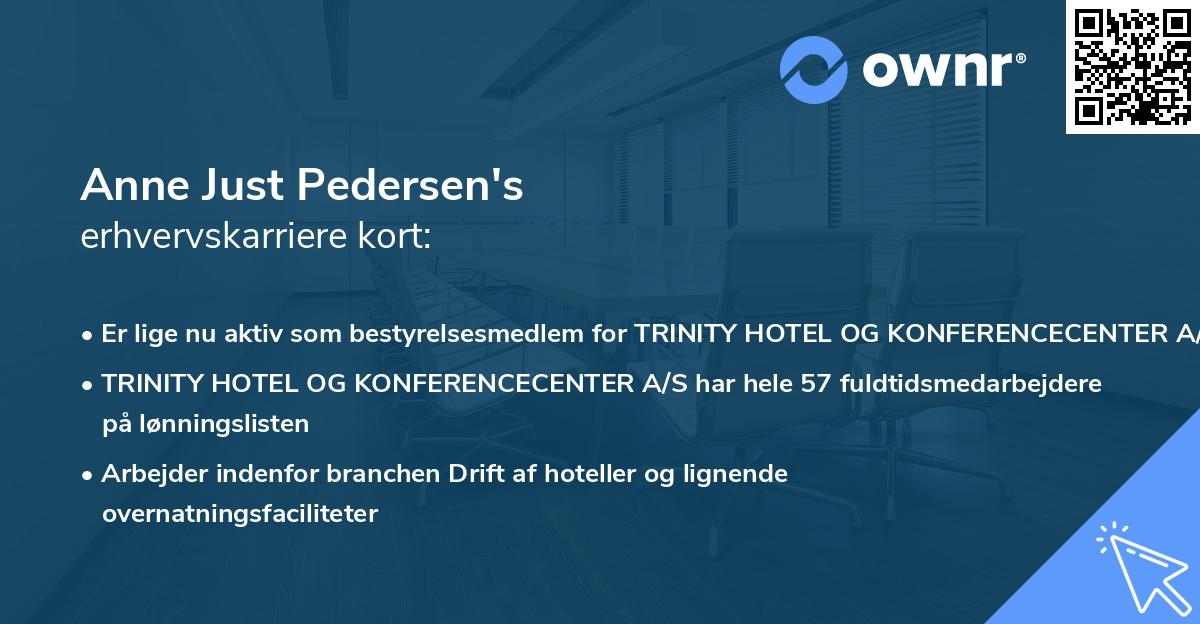 Anne Just Pedersen's erhvervskarriere kort