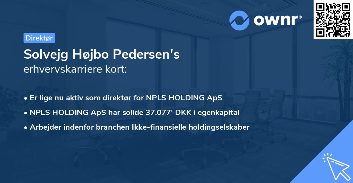 Solvejg Højbo Pedersen's erhvervskarriere kort