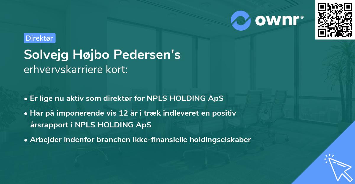 Solvejg Højbo Pedersen's erhvervskarriere kort