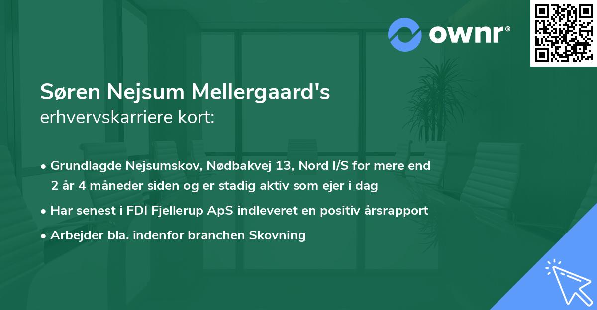 Søren Nejsum Mellergaard's erhvervskarriere kort