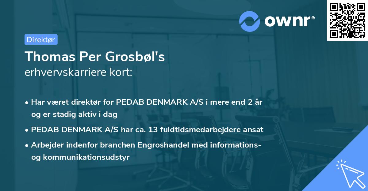 Thomas Per Grosbøl's erhvervskarriere kort