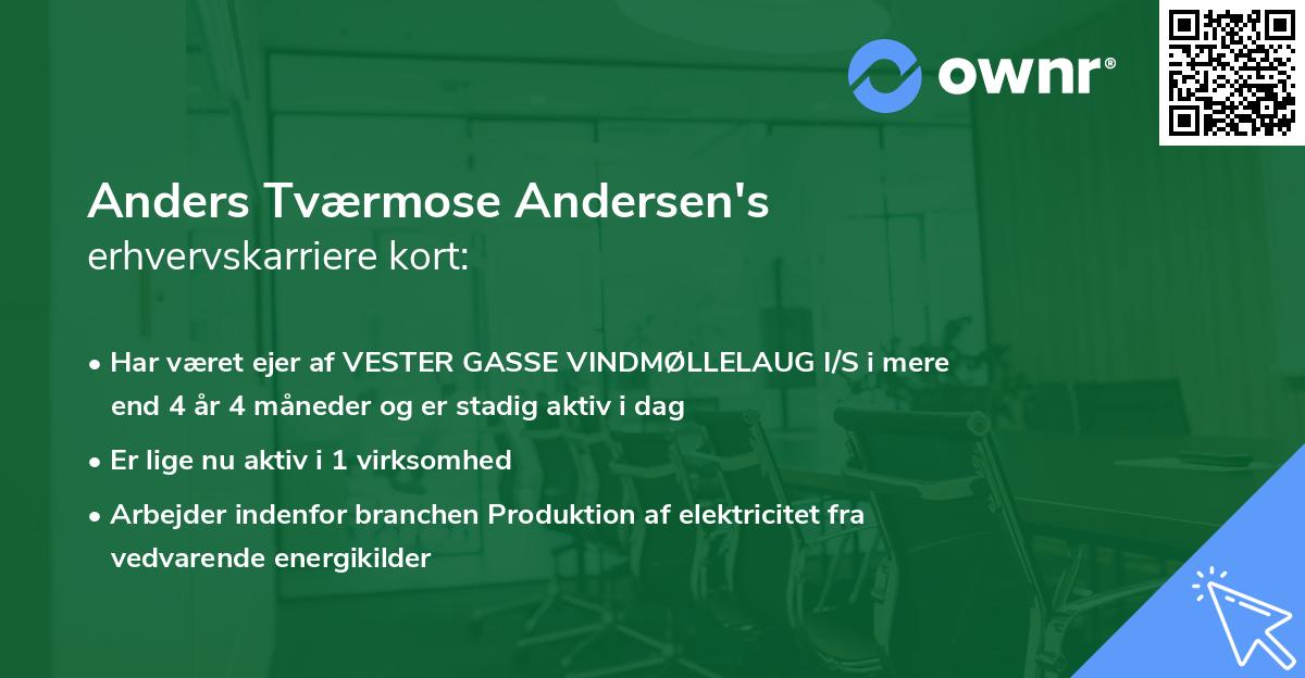 Anders Tværmose Andersen's erhvervskarriere kort