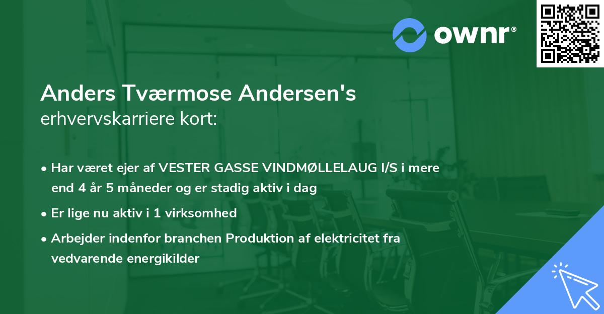 Anders Tværmose Andersen's erhvervskarriere kort