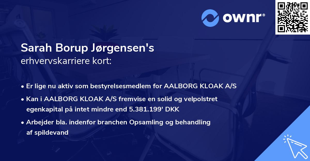 Sarah Borup Jørgensen's erhvervskarriere kort