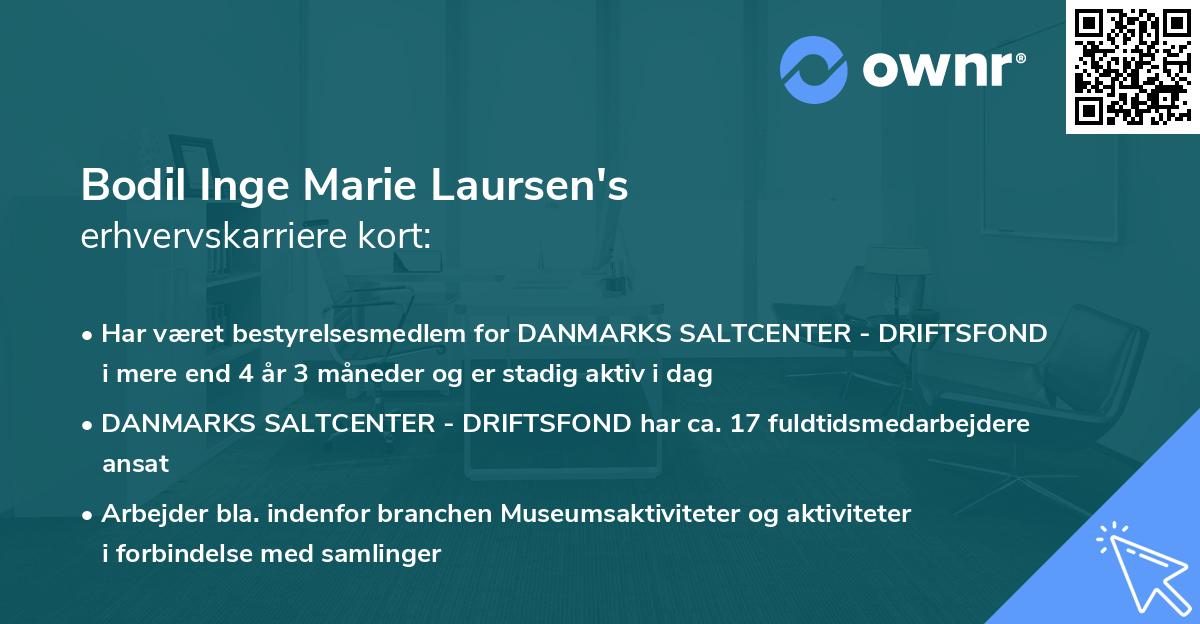 Bodil Inge Marie Laursen's erhvervskarriere kort