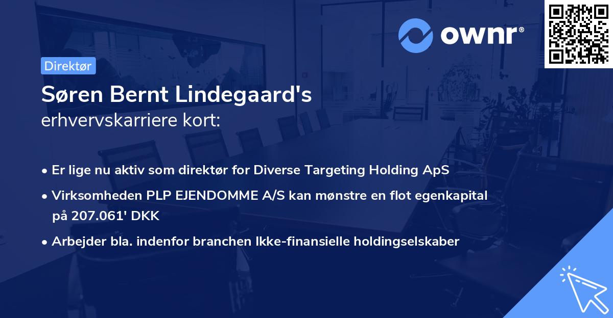 Søren Bernt Lindegaard's erhvervskarriere kort