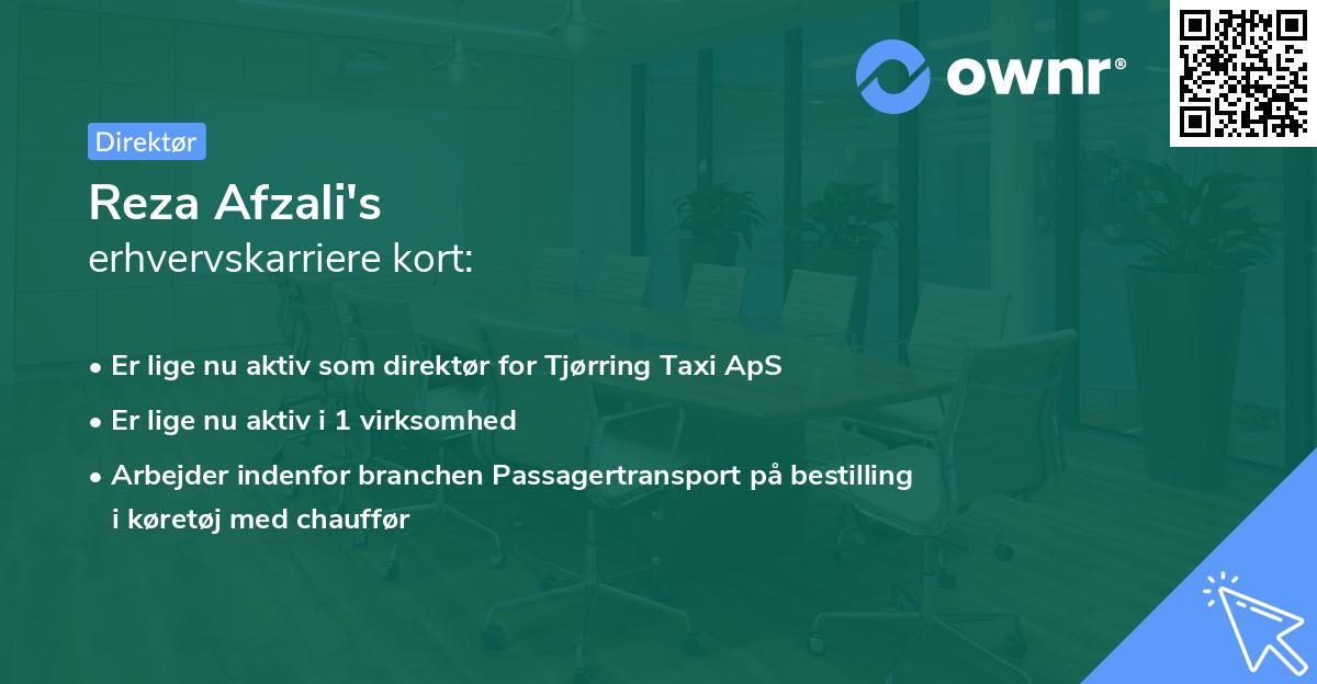 Reza Afzali's erhvervskarriere kort