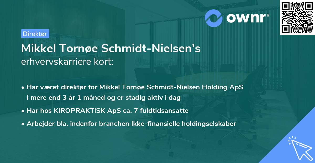 Mikkel Tornøe Schmidt-Nielsen's erhvervskarriere kort