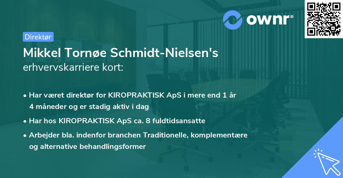Mikkel Tornøe Schmidt-Nielsen's erhvervskarriere kort