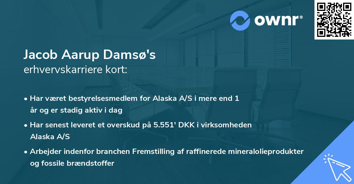 Jacob Aarup Damsø's erhvervskarriere kort