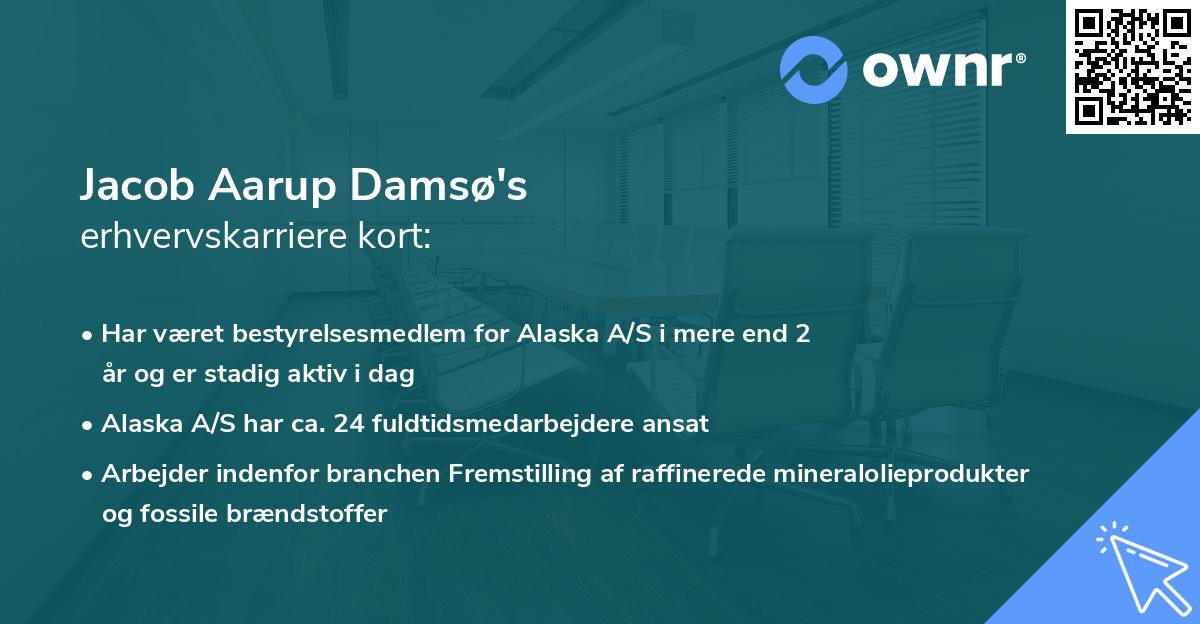 Jacob Aarup Damsø's erhvervskarriere kort
