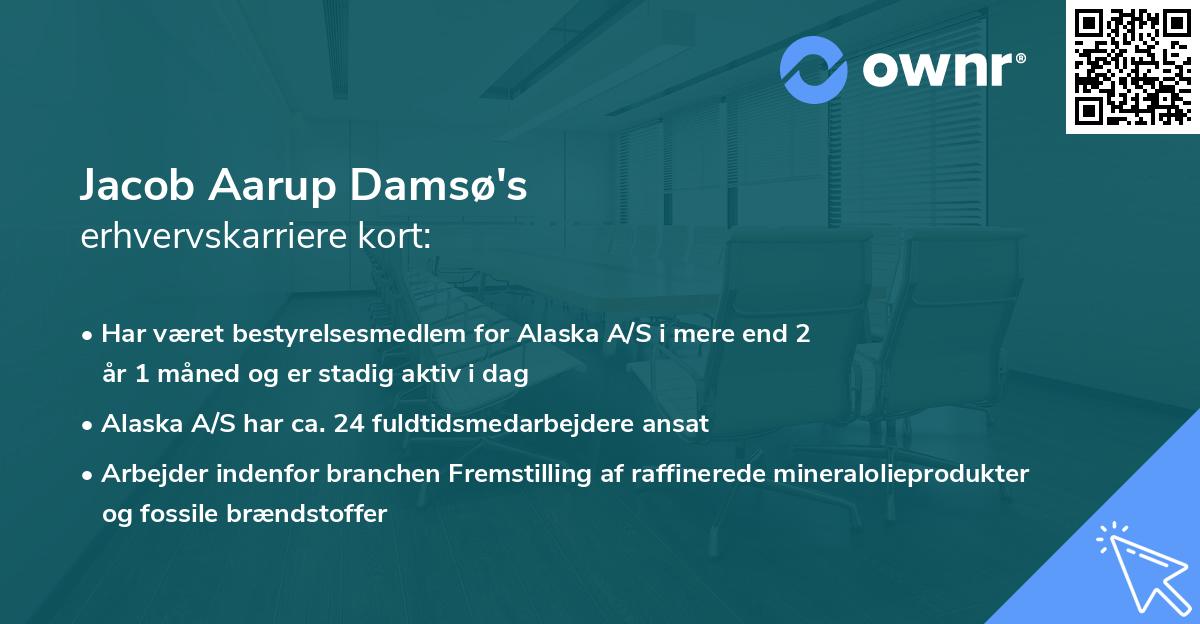 Jacob Aarup Damsø's erhvervskarriere kort