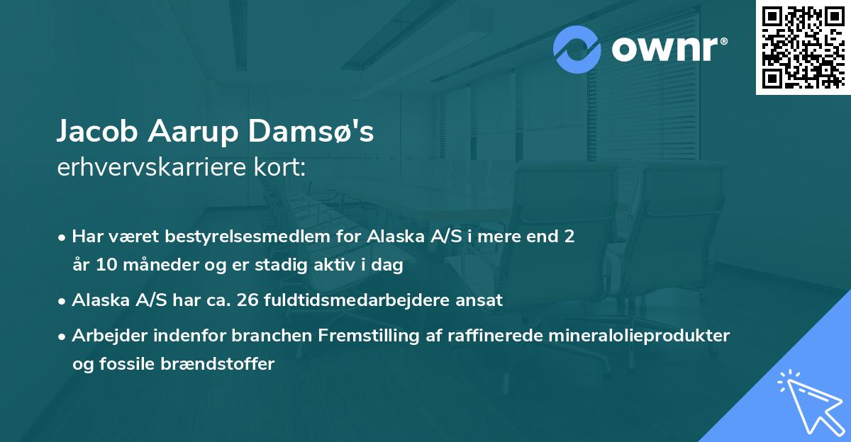 Jacob Aarup Damsø's erhvervskarriere kort