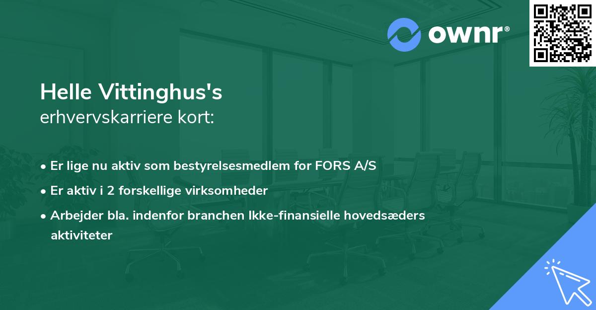 Helle Vittinghus's erhvervskarriere kort