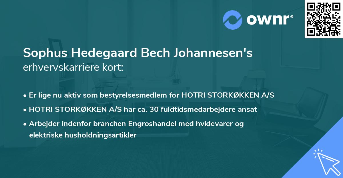 Sophus Hedegaard Bech Johannesen's erhvervskarriere kort