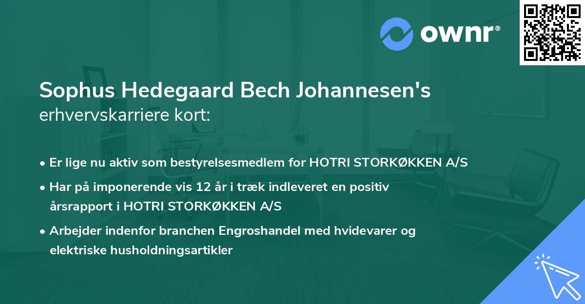 Sophus Hedegaard Bech Johannesen's erhvervskarriere kort