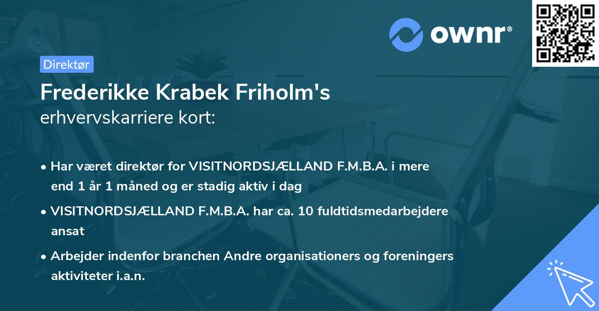 Frederikke Krabek Friholm's erhvervskarriere kort