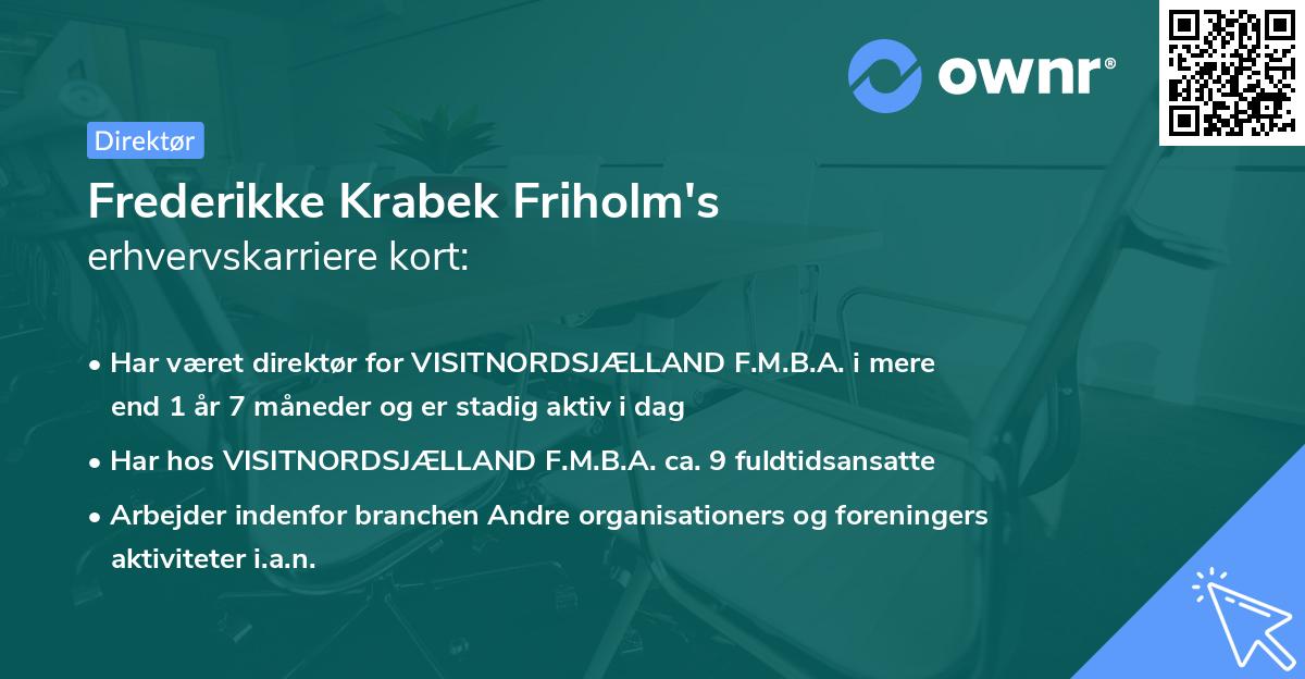 Frederikke Krabek Friholm's erhvervskarriere kort
